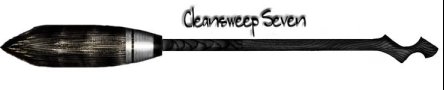 Cleansweep7